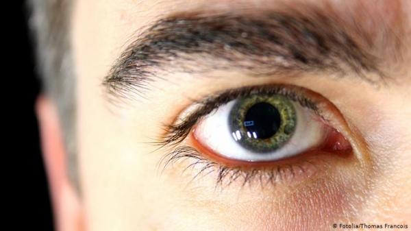 "الحواجب النرجسية" و"سكاكين البراز".. جوائز نوبل للحماقة 2020