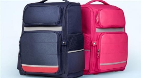 ما الحقيبة المناسبة للعمود الفقري؟