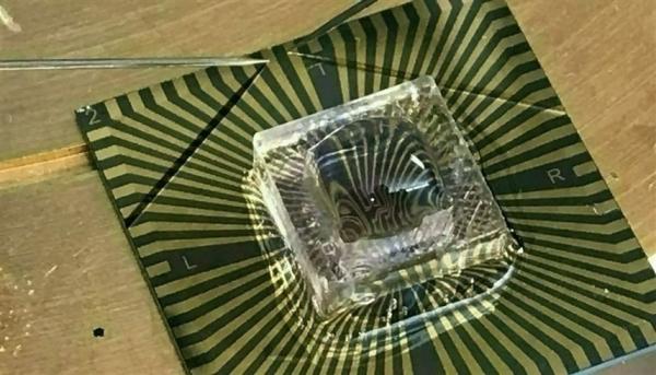 اختبار جديد يميّز بين فيروس "كورونا" و بالإنفلونزا الموسمية