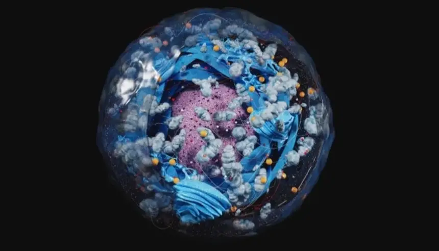 ذكاء اصطناعي يقرأ ملامح الخلايا ويفتح نافذة جديدة على الأمراض