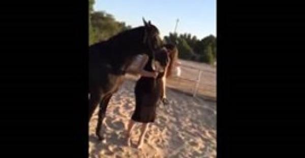 بالفيديو.. شاب متشبه بالنساء يقبل الحصان يثير الجدل في الكويت