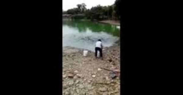 بالفيديو.. آلاف الأسماك تخرج إلى الشاطيء وتتصارع من أجل الطعام