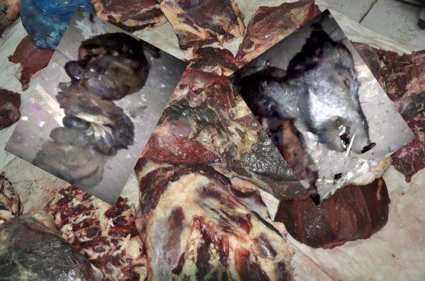 شوفو آش كتاكلو يا المغاربة : العثور على بقايا " حلوف " بالقرب من السوق الأسبوعي لمرس الخير ( الفيديو )