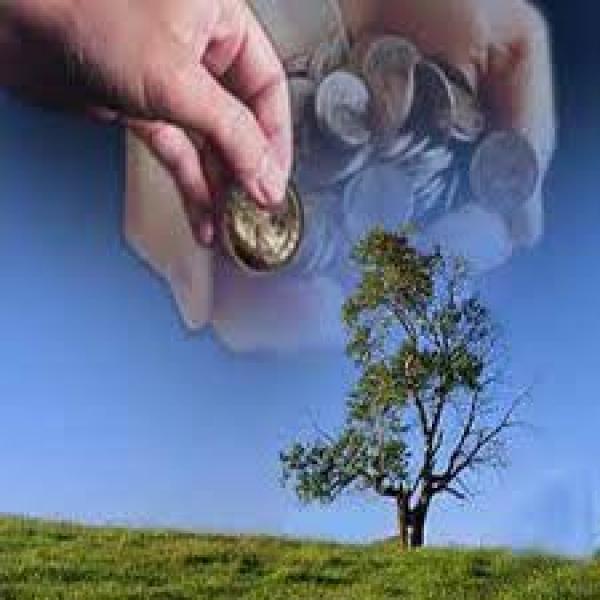 أخطاء في صدقة الفطر‏