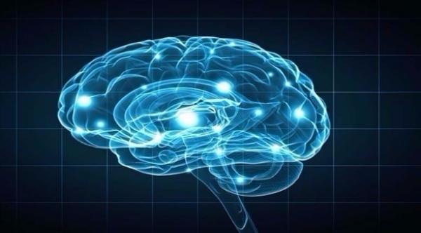 مليون دولار مكافأة لـ3 باحثين فسروا "كيف يفكر البشر"