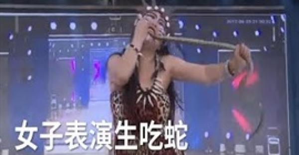 بالفيديو.. لحظة تناول امرأة ثعبان حي خلال مشاركتها في برنامج