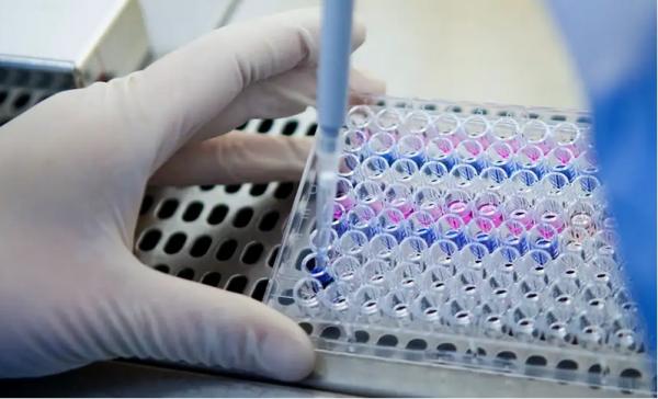 دراسة: نوع من بكتيريا الفم "يذيب" بعض أنواع السرطان