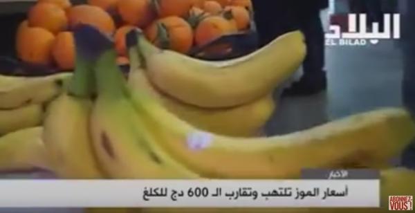 ‫فضيحة الموز في الجزائر: غضب شعبي والدولة تضع شروطا لاستيراده  ‬