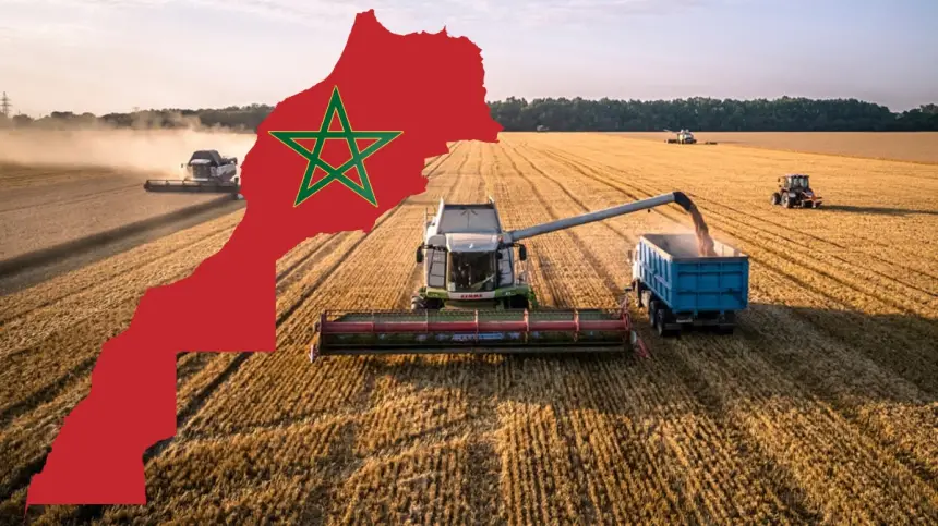 المغرب يتصدر قائمة الدول المستوردة للقمح الروسي من موانئ لينينغراد خلال سنة 2026