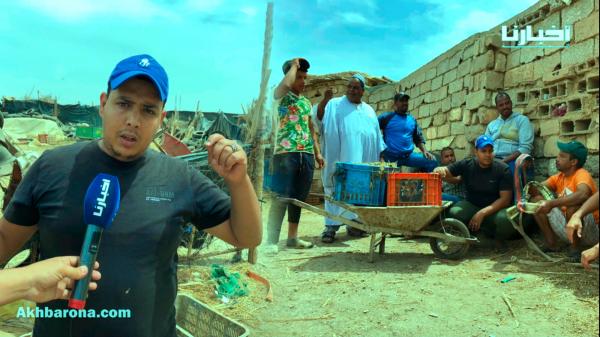 مكترو أراضي الحبوس بجنان المرابطين بتارودانت:" الأوقاف بغاو اخرجونا وحنا مقادين على السمسرة"