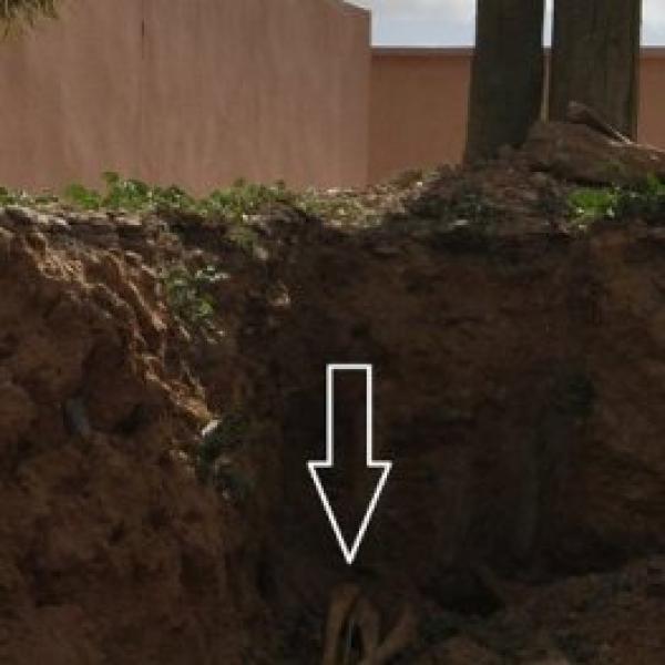 منتدى الحقيقة والإنصاف يطالب وكيل الملك بفتح تحقيق حول اكتشاف 4 هياكل بشرية قرب مقر الدرك بفكيك ربما تعود لسنوات الرصاص