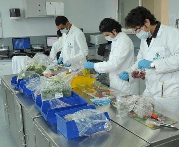 الحكومة تخوصص المراقبة الصحية للمنتجات الغذائية