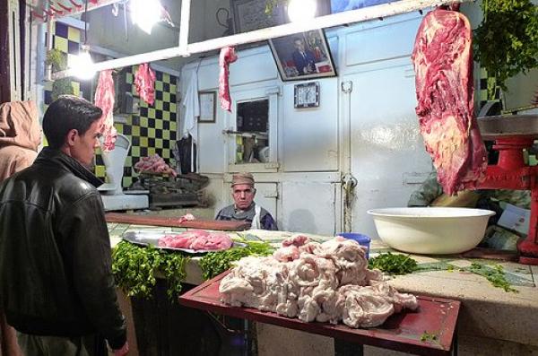 أسعار الأعلاف تضاعفت في زمن قياسي وارتفاع مرتقب في أثمنة اللحوم  