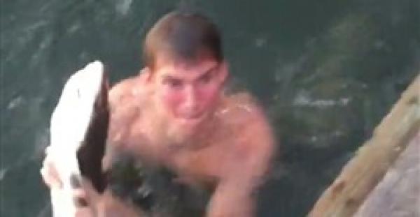 بالفيديو والصور.. شاب يقفز في المياه ليصطاد سمكة قرش بيديه العاريتين