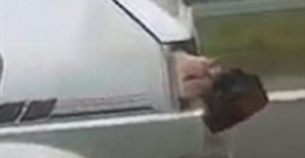 محاولات خنزير الفرار من سيارة (فيديو وصور)