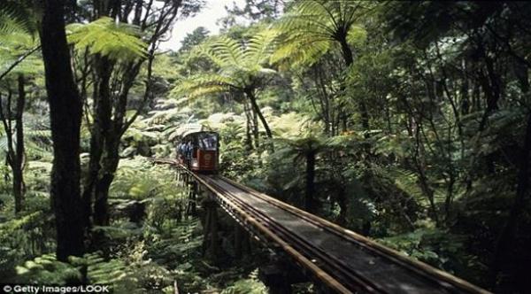 طفل ينجو من الموت بعد سقوطه من قطار سياحي