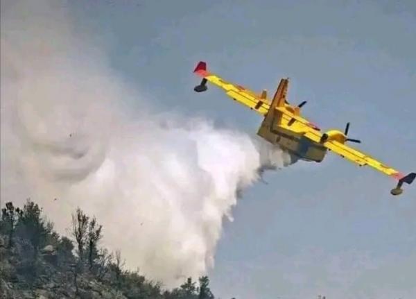 الصورة من عمليات الاطفاء بجماعة الساحل