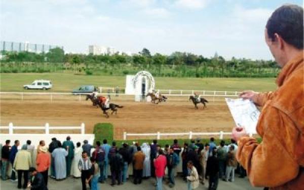 خمسيني بفاس يحول مقهى الى محل للقمار و رهانات الخيول "التيرسي"