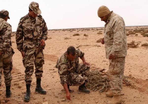 مناورات عسكرية بين الجيشين المغربي و الأمريكي في عملية تعد الأكبر عبر تاريخ القارة الافريقية