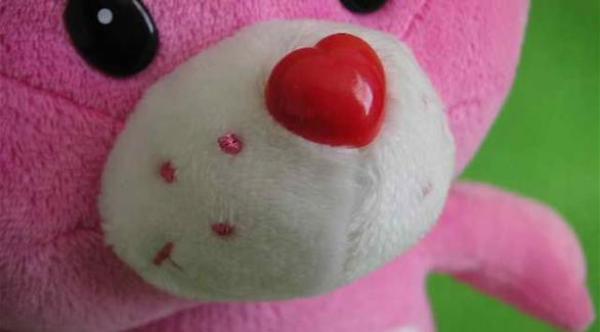 كويتية تقاضي زوجها لأنه سرق دبدوبها