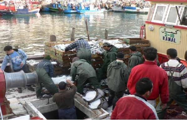 أنواع من الأسماك المصطادة بجنوب إسبانيا وشمال المغرب تتسبب في بعض الأمراض