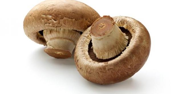 نصائح للعناية بالقدمين خلال فصل الصيف