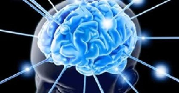 10 طرق للحفاظ على سلامة المخ