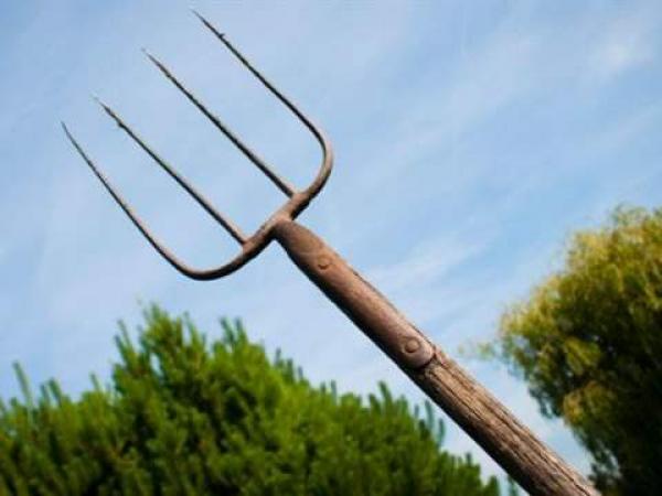 طفلة تهز قضيتها مواقع التواصل الاجتماعي بعد إصابتها بضربة "مدرة" و"أخبارنا" تروي حقائق وتفاصيل حصرية