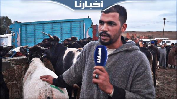 من سوق العجول بجرف الملحة: تذمر من الغلاء وتعليقات طريفة