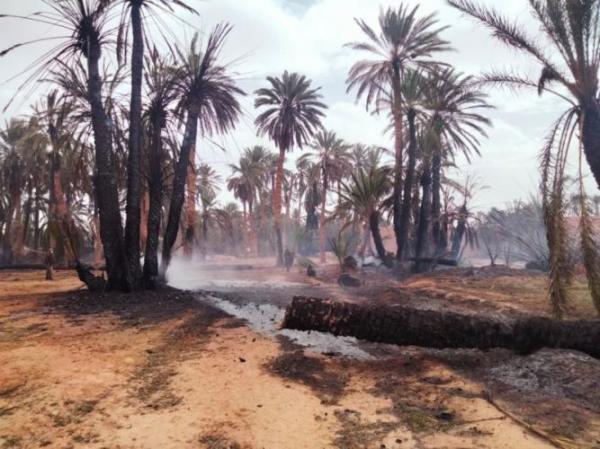 حريق يأتي على أعداد كبيرة من النخيل بواحة تيغمرت بكلميم