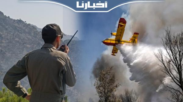 شاهد كيف يتم التنسيق بين القوات الجوية الملكية وربابنة طائرات الكنادير