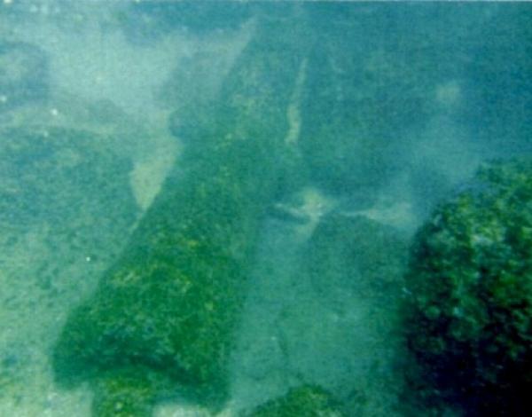 الصورة من عين المكان