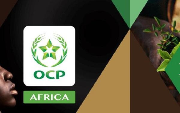 المكتب الشريف للفوسفاط يواصل اكتساحه الإفريقي ويفتتح بنيحيريا مصنعا متطورا هو الأول من نوعه بالقارة