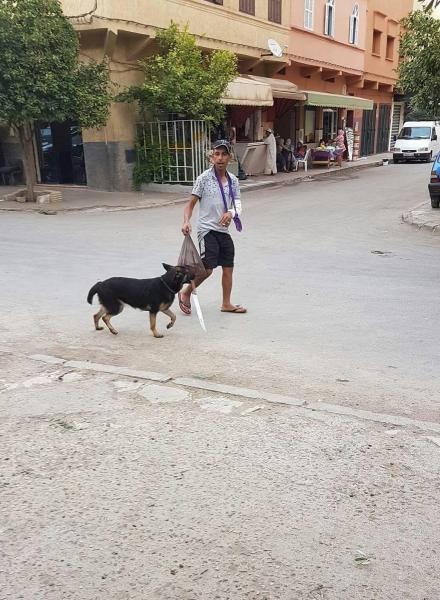 عاجل...هذا ما وقع للمشرمل وكلبه الذي ظهر في الصورة التي هزت الفايسبوك