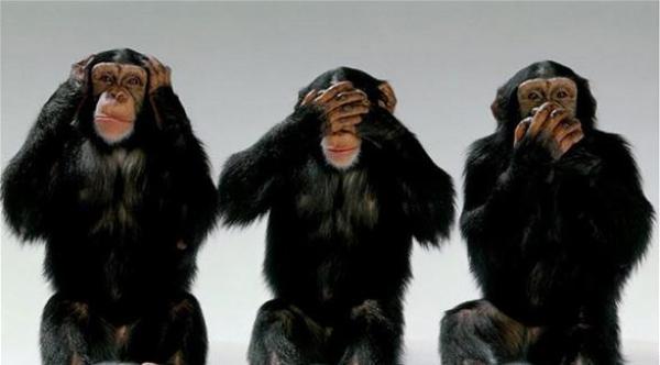 الدنمارك تسعى لحظر "ممارسة الجنس مع الحيوانات" بعد ضغوط نشطاء