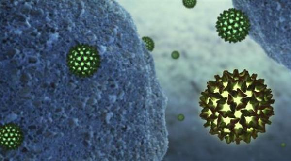 5 إجراءات للوقاية من مرض اليرقان