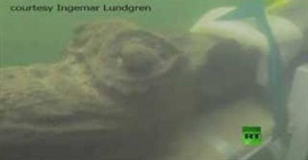 بالفيديو.. العثور على «وحش بحري» في أعماق بحر البلطيق