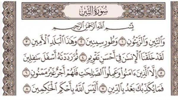 من فضائل سورة التين: من قرأها في فرائضه ونوافله أعطي من الجنة حيث يرضى