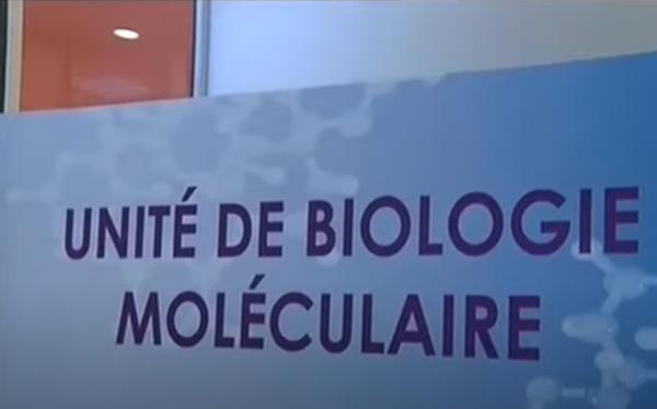 إمكانية إجراء فحوصات خاصة بكوفيد 19 بالنسبة للمواطنين في مختبرات خاصة