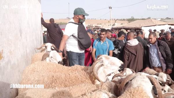 كسابة: الحولي واصل لـ120 ألف وقليلة فيه وصحاب الفايس بوك طالقين الاشاعات وكلشي غادي يعيد