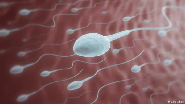 حبوب منع الحمل للرجال.. كيف تعمل وهل لها تأثير مستقبلي؟