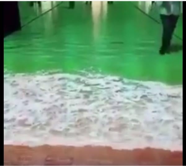 شاهد ماذا يحدث في أرضية سوق السمك الجديد في دبي ....!!