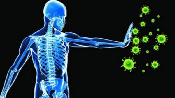 6 خطوات صحية تزيد من كفاءة المناعة في محاربة الأمراض الخطيرة
