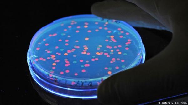 الحكومة المصرية توقف وجبات مدرسية بعد حالات تسمم غذائي