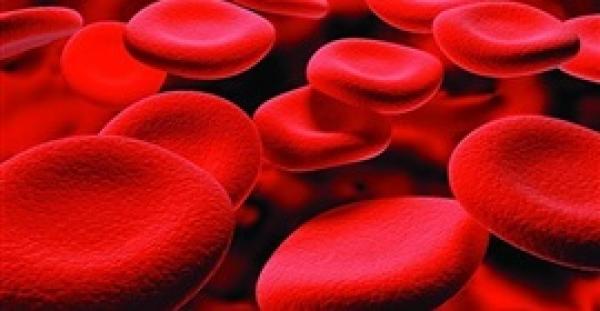 8 أطعمة تخلصك من فقر الدم  نهائيا