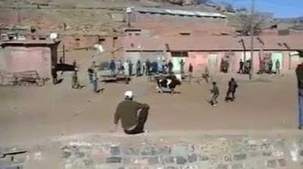 مصارعة الثيران الاسبانية تصل جبال أزيلال