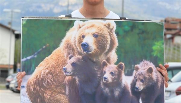 تعليق قرار قتل أنثى دب أدى هجومها المميت على متريض إلى نزاع قانوني