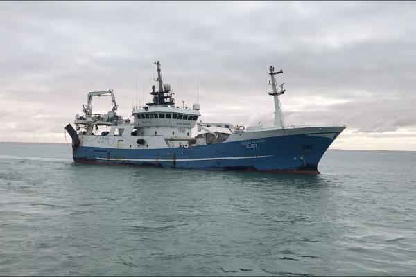 الجمعية المغربية لأرباب المراكب ومعامل صيد السمك السطحي في الداخلة تساهم في صندوق "كورونا"