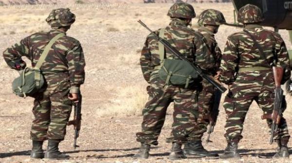 الجيش المغربي يعتقل عناصر من ميليشيا البوليساريو بالسواحل الصحراوية