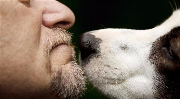 البشر يتمتعون بحاسة شم تضاهي.. "الكلاب"